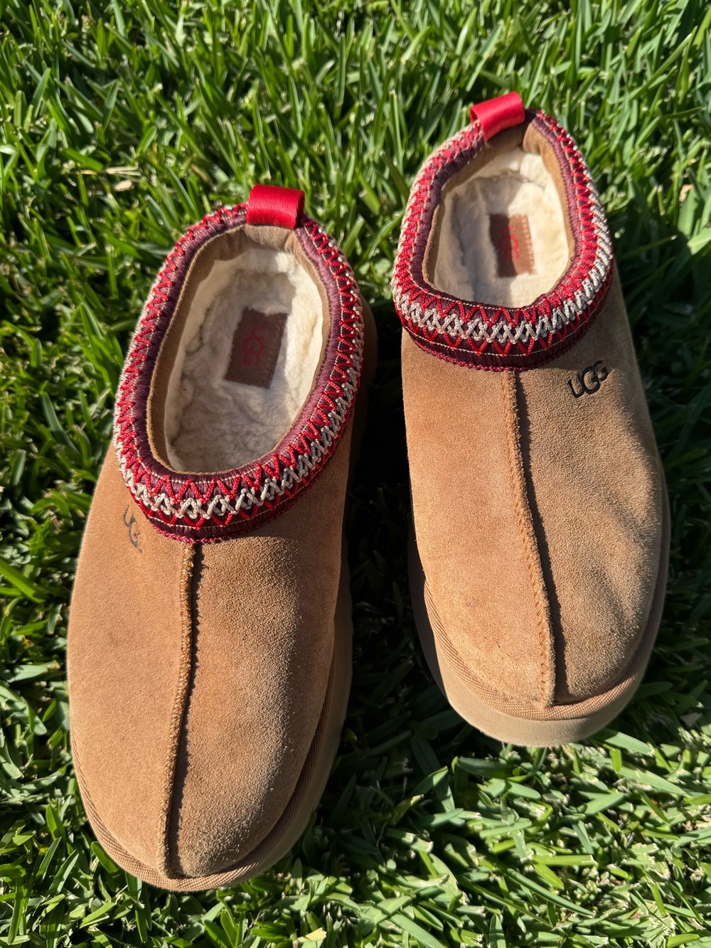 UGG Tazz II Lined Platform Slipper - Picture 5 of 13